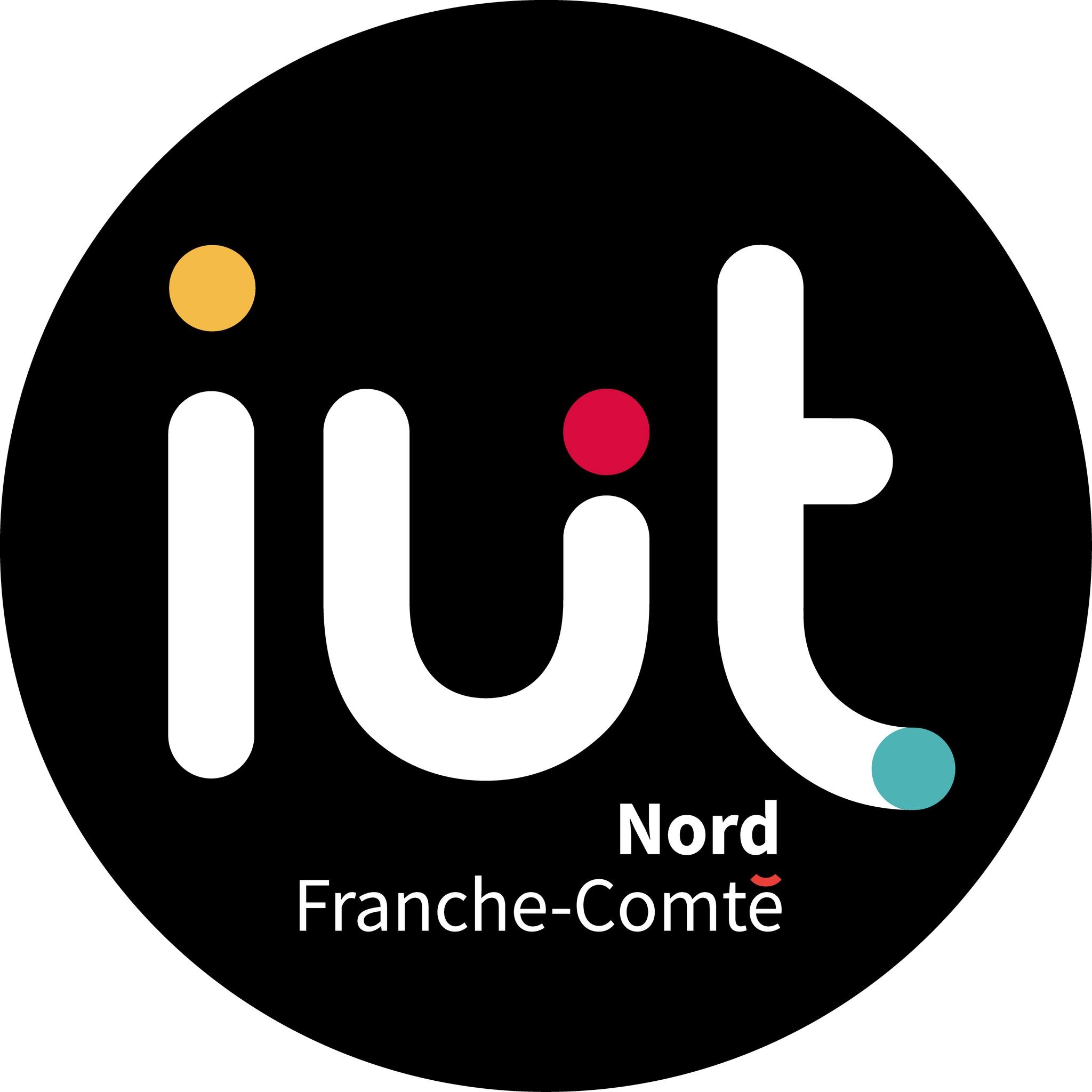 IUT Informatique